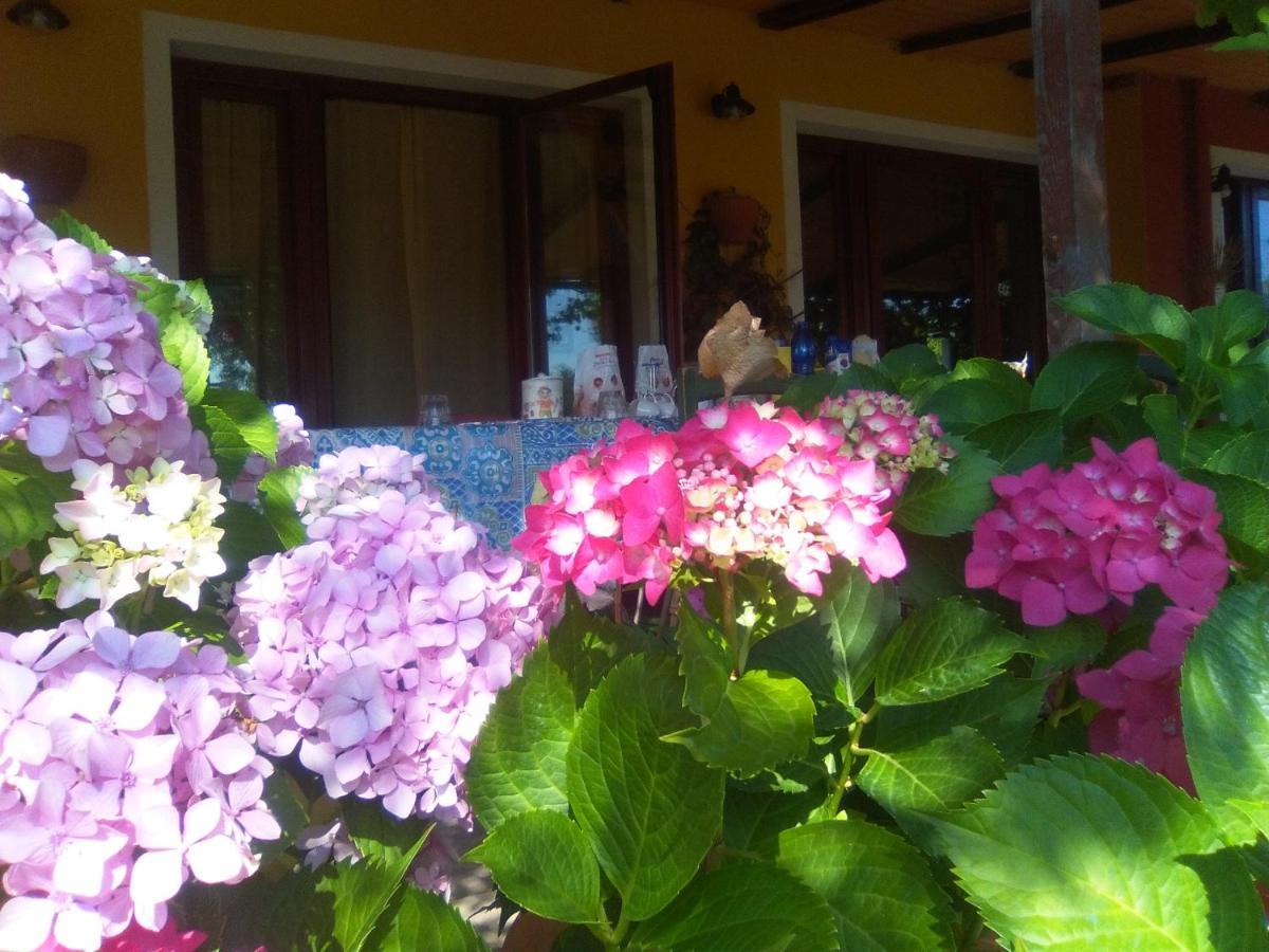 B&B Casa Per Ferie Villaggiocarovana Кастиадас Экстерьер фото