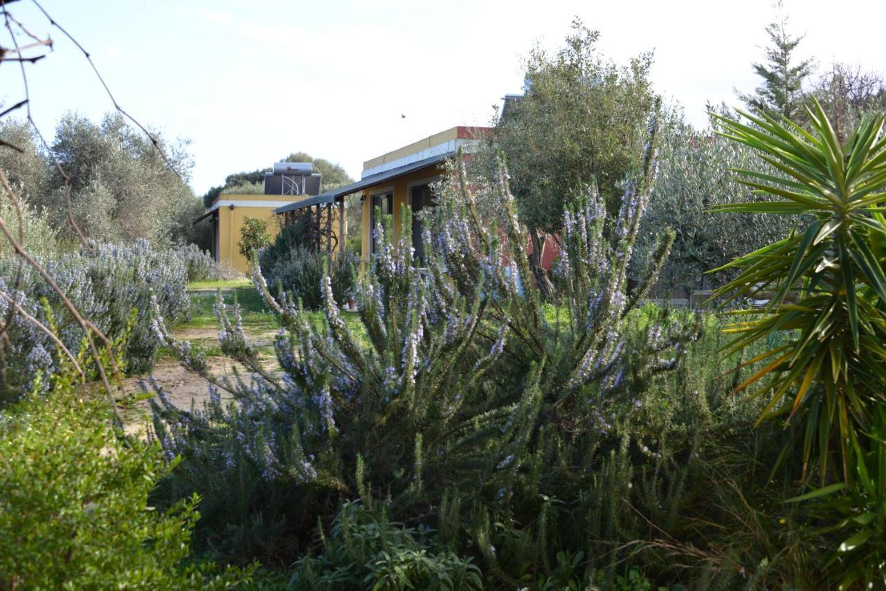 B&B Casa Per Ferie Villaggiocarovana Кастиадас Экстерьер фото