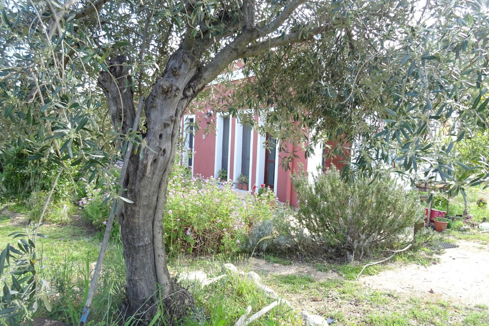 B&B Casa Per Ferie Villaggiocarovana Кастиадас Экстерьер фото